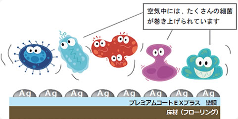 空気中には、たくさんの細菌が巻き上げられています。