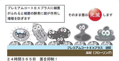 プレミアムコートEXプラスに細菌が触れると細菌の酵素に銀が作用し増殖を防ぎます