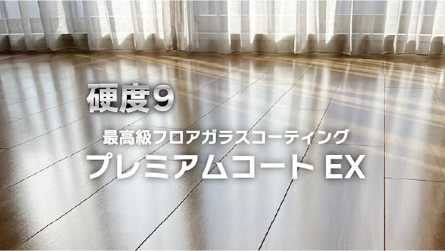 プレミアムコートEX
