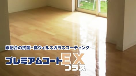 プレミアムコートEX プラス