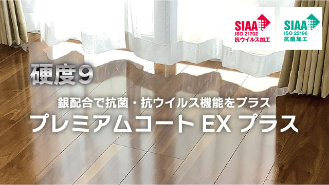 プレミアムコートEX プラス